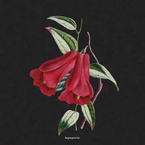 收听boy pablo的Flowers歌词歌曲