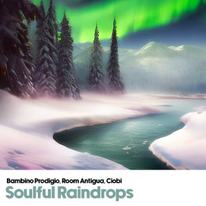 Album Soulful Raindrops from 