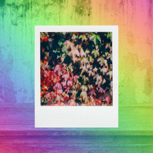 收聽Café Lounge的Artistic Piano Jazz - Vibe for Luxurious Favorites歌詞歌曲