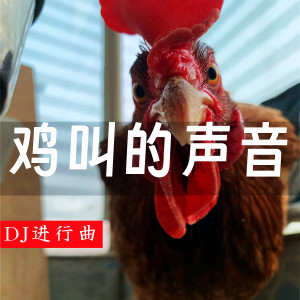 Dengarkan lagu 鸡叫的声音 (Dj进行曲) nyanyian DJHY dengan lirik