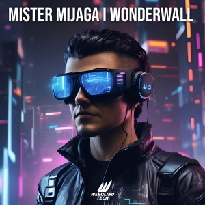 Mister Mijaga的專輯Wonderwall (Techno Version)
