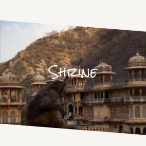 Listen to Shrine song with lyrics from Kender Geci