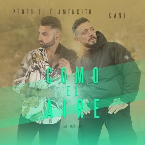 Listen to Como el Aire song with lyrics from Pedro el Flamenkito