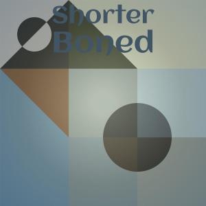 收聽Leobert Seer的Exclude Bollocks歌詞歌曲