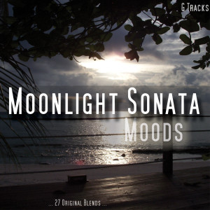 收听Moonlight Sonata Moods的Arietta歌词歌曲
