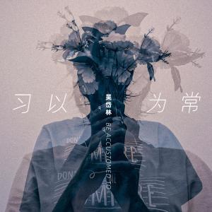 收聽吳岱林的習以爲常歌詞歌曲