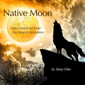 ดาวน์โหลดและฟังเพลง Sleep Song พร้อมเนื้อเพลงจาก Sleep Tribe