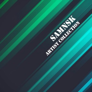 อัลบัม Artist Collection: SamNSK ศิลปิน SamNSK