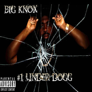 Album # 1 Under Dogg (Explicit) from 