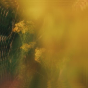 อัลบัม Golden ศิลปิน Hannah Grace
