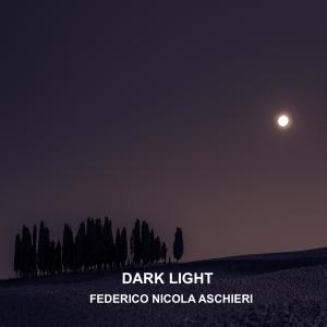 Federico Nicola Aschieri的專輯Dark Light  (Live)