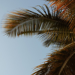 收聽Deep Sleep的Chance歌詞歌曲