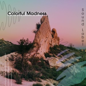 Various Artists的專輯Colorful Madness