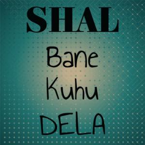 Listen to सुहागवाली रात में song with lyrics from Ritik Singh