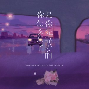 ดาวน์โหลดและฟังเพลง 你怎么忘了是你先靠近的 (伴奏) พร้อมเนื้อเพลงจาก 林三七