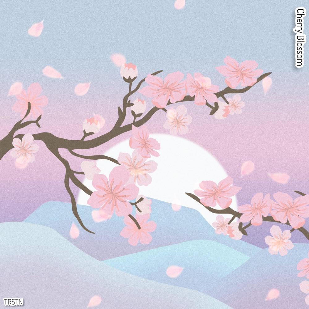Cherry Blossom