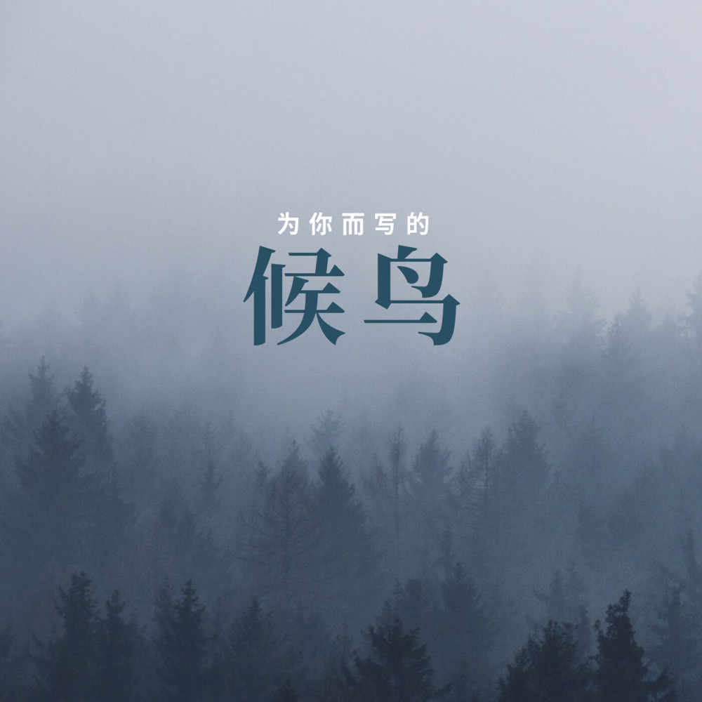 候鸟 (伴奏)
