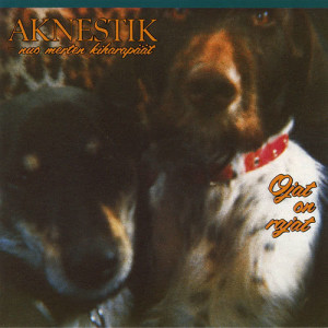 ดาวน์โหลดและฟังเพลง Poplaulu 90 พร้อมเนื้อเพลงจาก Aknestik