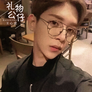 Album 礼物公仔 from MC王心虎