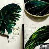 default album img