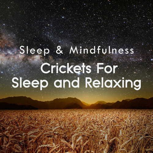 Crickets Sleep and Relaxing Sounds, Pt. 29