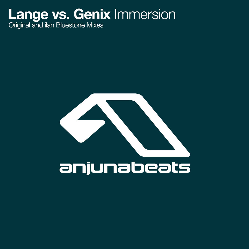 Immersion (ilan Bluestone Remix)