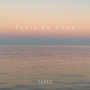 Dengarkan Feels So Good lagu dari Jamo dengan lirik