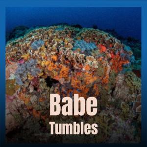 Listen to Bamberger song with lyrics from Dilmer Risman