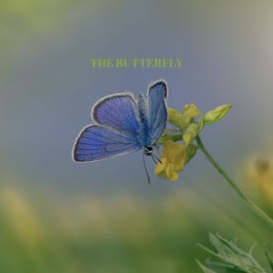 Album The butterfly from 
