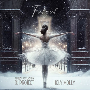 Album Fulgul (Acoustic Version) from Dj Project