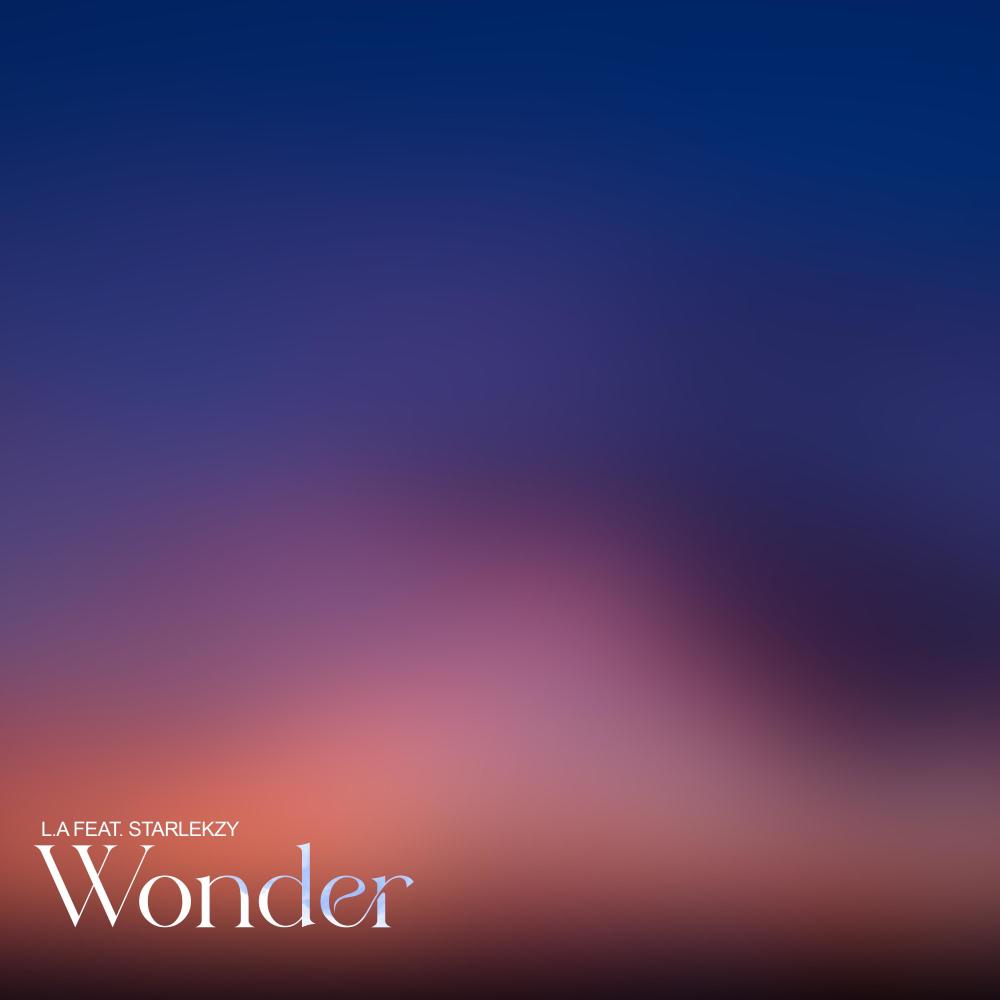 Wonder (feat. Starlekzy) (Explicit)