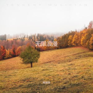 Listen to 无限浪漫 (完整版) song with lyrics from AGEBOY