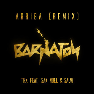 Listen to Arriba (Remix) (其他) song with lyrics from Thk