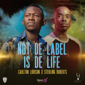 ดาวน์โหลดและฟังเพลง Not De Label Is De Life (feat. Sterling Roberts) พร้อมเนื้อเพลงจาก Carlton Louison