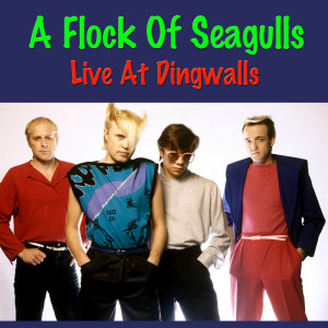อัลบัม A Flock Of Seagulls Live At Dingwalls ศิลปิน A Flock Of Seagulls