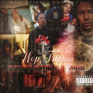 收聽Wop Trippin的Never Be The Same (Explicit)歌詞歌曲