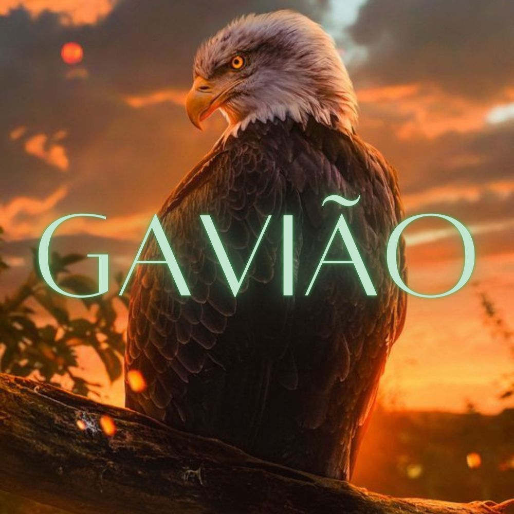 Gavião (Explicit)