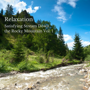 Nature Vibrations的專輯Relaxation: Satisfying Stream Down the Rocky Mountain Vol. 1