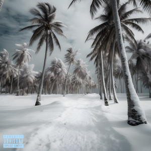 Album BDN (Explicit) from 