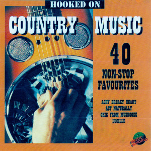 ดาวน์โหลดและฟังเพลง Silver Wings พร้อมเนื้อเพลงจาก Nashville Session Singers