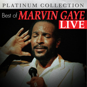ดาวน์โหลดและฟังเพลง Inner City Blues พร้อมเนื้อเพลงจาก Marvin Gaye