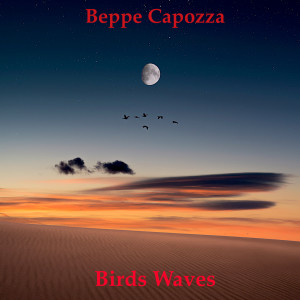 Beppe Capozza的专辑Birds Waves