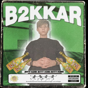 Album B2kkar from VÄIKE PD