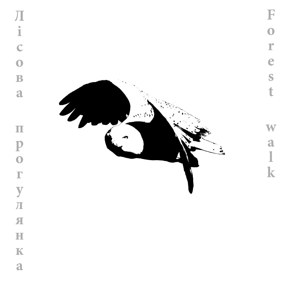 Лісова прогулянка (Forest Walk) (Instrumental)