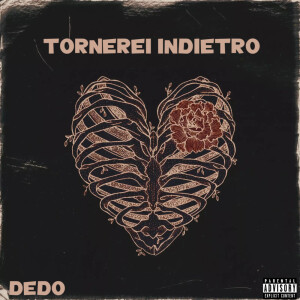 Listen to TORNEREI INDIETRO (Explicit) song with lyrics from Dedo