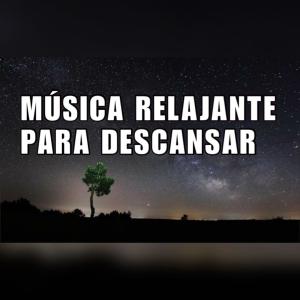 收聽Para Relajarse的Libertinaje歌詞歌曲