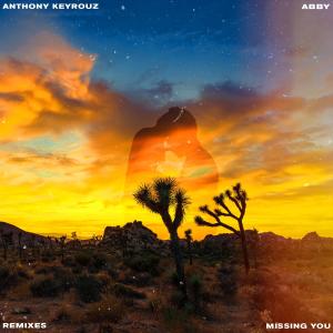 收聽Anthony Keyrouz的Missing You(feat. Abby) (Ilan Videns Remix)歌詞歌曲
