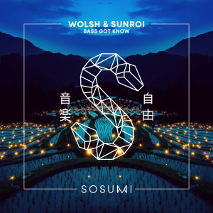 Listen to Bass Got Know song with lyrics from Wolsh