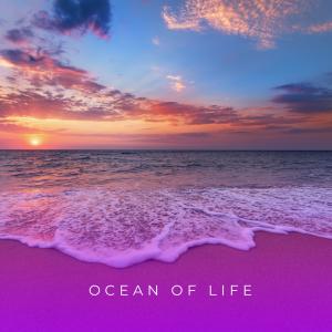 ดาวน์โหลดและฟังเพลง Ocean Of Life พร้อมเนื้อเพลงจาก Eudlo