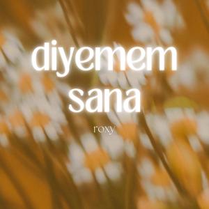 Roxy的专辑Diyemem Sana (Explicit)